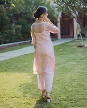 Shitij Pink Handpainted Doria GOWN