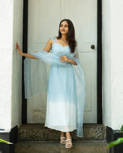 Beautiful Ice Blue Anarkali Gown