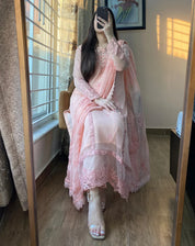 Chiffon Embroidered Whisper Pink Suit