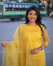 Yellow Organza GOWN Regular price